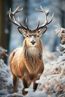 Hirsch auf Schnee Natur Hintergrund, ai generiert foto