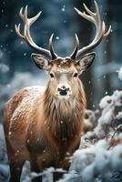 Hirsch auf Schnee Natur Hintergrund, ai generiert foto