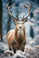 Hirsch auf Schnee Natur Hintergrund, ai generiert foto