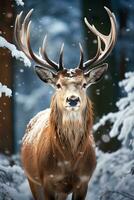 Hirsch auf Schnee Natur Hintergrund, ai generiert foto