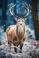 Hirsch auf Schnee Natur Hintergrund, ai generiert foto