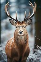 Hirsch auf Schnee Natur Hintergrund, ai generiert foto