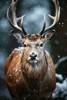 Hirsch auf Schnee Natur Hintergrund, ai generiert foto