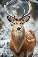 Hirsch auf Schnee Natur Hintergrund, ai generiert foto