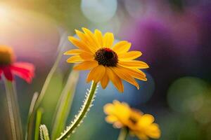 Gelb Blumen im das Sonne mit ein verschwommen Hintergrund. KI-generiert foto