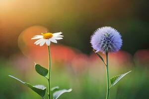 zwei Wildblumen im ein Feld mit Sonnenlicht leuchtenden durch. KI-generiert foto