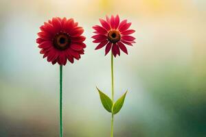 zwei rot Blumen sind Stehen Nächster zu jeder andere. KI-generiert foto