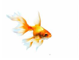 schließen oben Foto von ein Goldfisch mit Kopieren Raum, golden Schönheit ai generiert