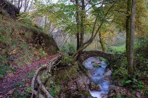 kleine alte Felsenbrücke in einem Bach im Wald foto