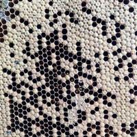 Hexagon-Struktur ist Wabe aus Bienenstock gefüllt mit goldenem Honig foto