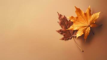 Herbst Hintergrund. Herbst Ahorn Blätter auf ein Beige Hintergrund. generativ ai foto