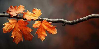 Nahansicht bunt Herbst hell Herbst Blatt, schön heiter Landschaft, Kopieren Raum zum Gruß Karte, ai generativ foto