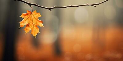 Nahansicht bunt Herbst hell Herbst Blatt, schön heiter Landschaft, Kopieren Raum zum Gruß Karte, ai generativ foto