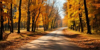 Herbst Wald Landschaft mit Straße und warm Sonnenlicht scheinen durch Geäst von Bäume, bunt Natur, ai generativ foto