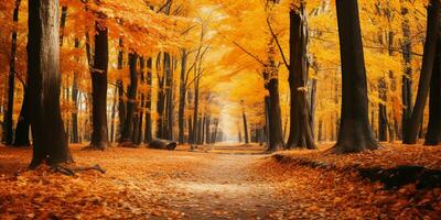 Herbst Wald Landschaft mit Straße und warm Sonnenlicht scheinen durch Geäst von Bäume, bunt Natur, ai generativ foto