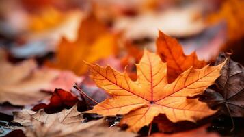 bunt Herbst Blätter Hintergrund, Mehrfarbig Ahorn Blätter Hintergrund. hoch Qualität Auflösung Bild, ai generativ foto