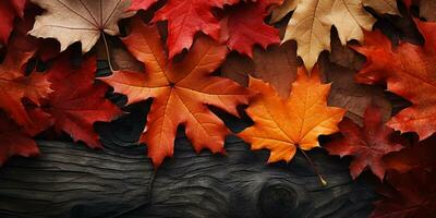 bunt Herbst Blätter Hintergrund, Mehrfarbig Ahorn Blätter Hintergrund. hoch Qualität Auflösung Bild, ai generativ foto