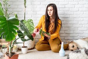 Gärtnerin kümmert sich um ihre Hausgartenpflanzen und streichelt ihren Hund foto