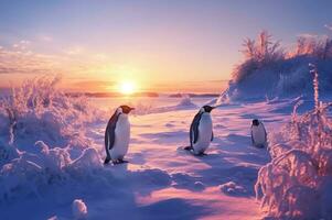 Pinguine spielen im das Schnee mit das Schönheit von das Sonnenuntergang. generativ ai foto