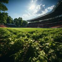 ein Fußball Stadion mit ein Rasen Feld foto