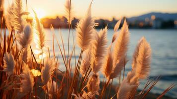 generativ ai, golden Stunde glühen foto