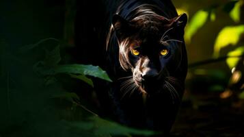 Finsternis Panther taucht auf von Schatten in das Licht. generativ ai foto