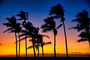 schöner sonnenuntergang auf der großen insel, kohala-küste, waikoloa, hawaii foto