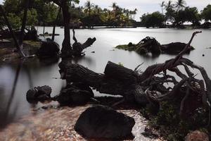 Fischteich im historischen Park Kalahuipuaa auf der großen Insel Hawaii foto