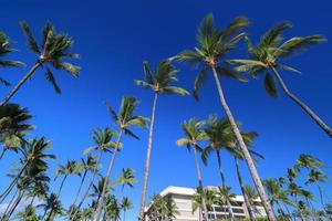 schöne landschaft der hawaii-insel, kohala-küste foto