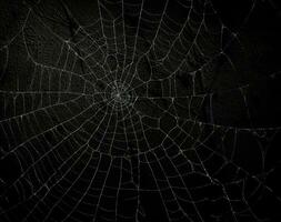 Spinne Netz auf schwarz Hintergrund. Halloween oder Grusel Konzept. Raum zum Text. ai generiert. foto