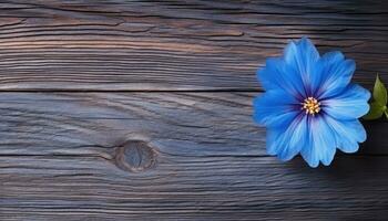 schön Blau Blume auf ein hölzern Hintergrund. Aussicht von über. ai generiert. foto