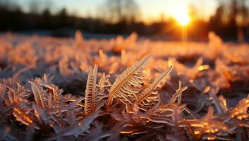 gefrostet Gras beim Sonnenuntergang. schön Winter Landschaft mit gefrostet Gras. ai generiert. foto