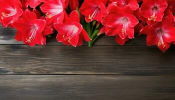 schön Amaryllis Blumen auf hölzern Hintergrund, oben Sicht. ai generiert. foto