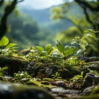 Hintergrund zum Produkt Fotografie ai generativ foto