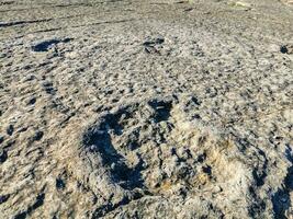 natürlich Monument von Fossil Dinosaurier Fußabdrücke im serra d 'Luft im pedreira tun Galinha, im Portugal. ein pädagogisch Schaltkreis war erstellt beim das Grundstück, wo Besucher können sehen und berühren das Fußabdrücke foto