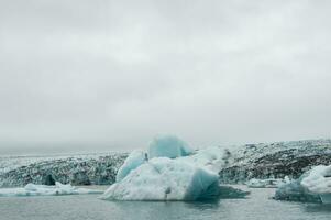 Eisberge im Jökulsarlon, ein Gletscher See im Island foto