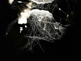 Netz Spinne im städtisch Kunst foto