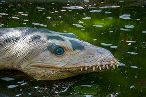 Dino Park, Dinosaurier Thema Park im Lourinha, Portugal foto