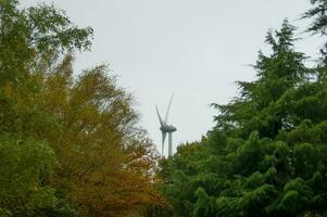 Wind Turbinen zum nachhaltig elektrisch Verbrauch foto