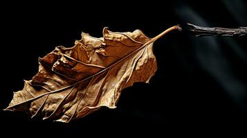 beschwingt Herbst alt trocken Blatt auf schwarz Hintergrund. ai generiert foto