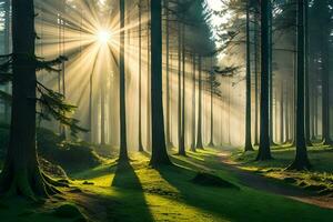 ein Ruhe Morgen sehen von ein nebelig Wald mit Riegel von Sonnenschein eintreten durch das Bäume. kreativ Ressource, ai generiert foto