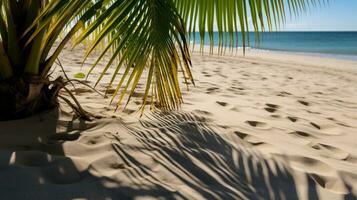 Palme Wedel Gießen Schatten auf sandig Strand foto