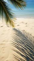 Palme Wedel Gießen Schatten auf sandig Strand foto