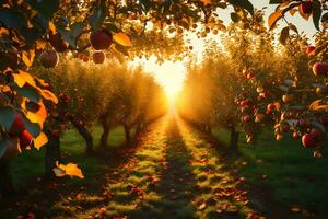 ein Apfel Plantage beim Dämmerung, mit brillant Licht Sichtung durch bunt nimmt aus. kreativ Ressource, ai generiert foto