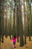 Mädchen im ein Regenjacke und Rosa Gummi Stiefel Gehen im ein Herbst Wald foto