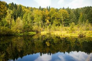 sehr schön Herbst Panoramen von das Karpaten Ukraine-See, Wald foto