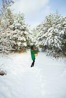 ein jung schön Mädchen im ein Grün Sweatshirt und Hut steht im das Winter Wald entlang mit ein Korb mit Kiefer Geäst. foto