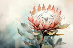 Aquarell Gemälde von ein Protea Blume auf ein Aquarell Hintergrund ai generiert foto