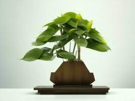 schön teuer Bonsai Baum auf Weiß Hintergrund ai generiert foto