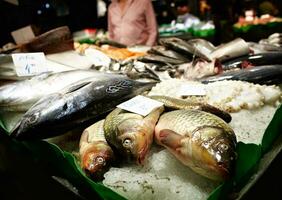 Barcelona Fisch Markt. foto